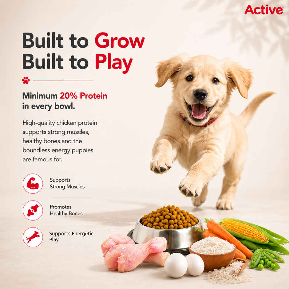Active Puppy Chicken And Vegetables Dry Dog Food