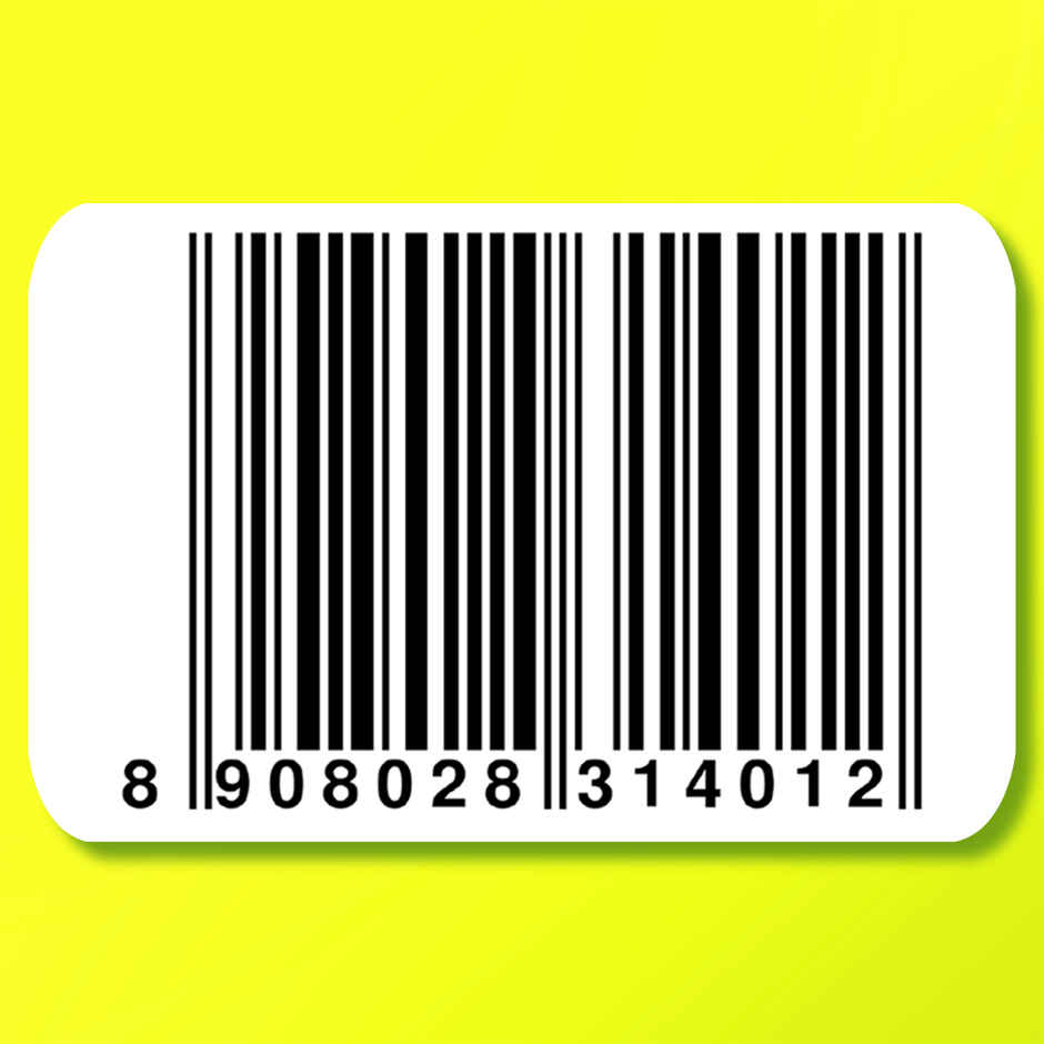 Snackadum Jowar Crisps | Rustic Spice