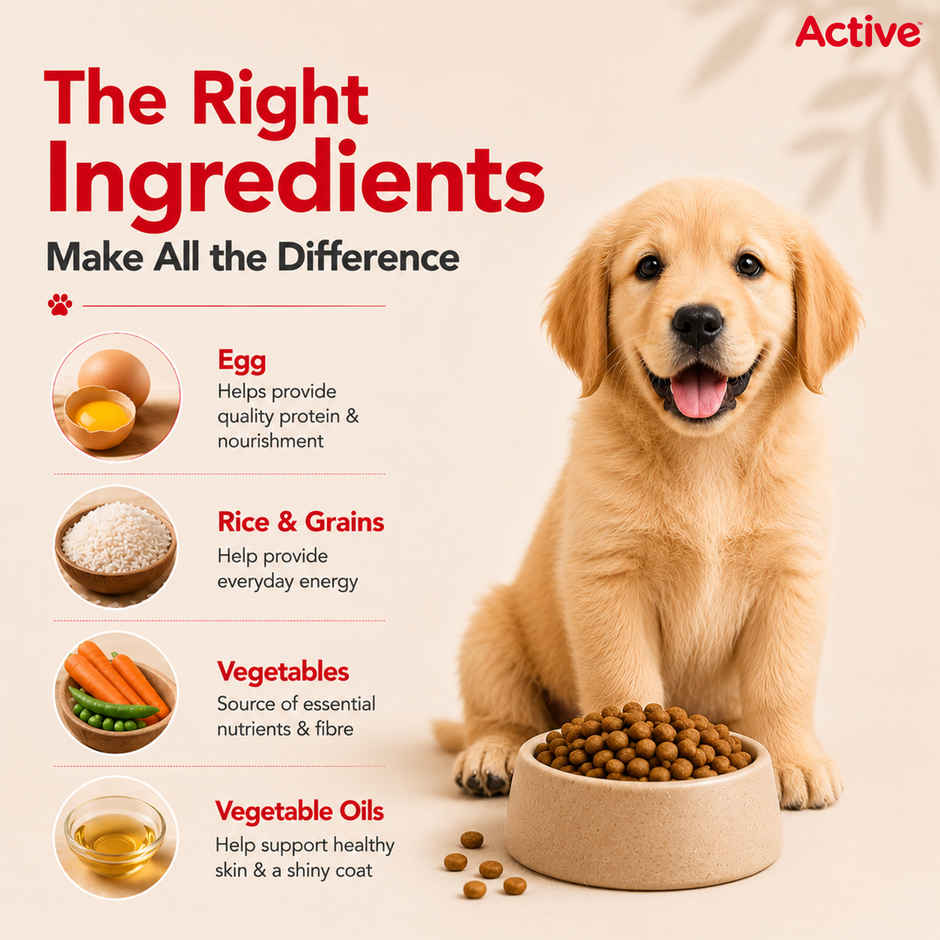 Active Puppy Chicken And Vegetables Dry Dog Food