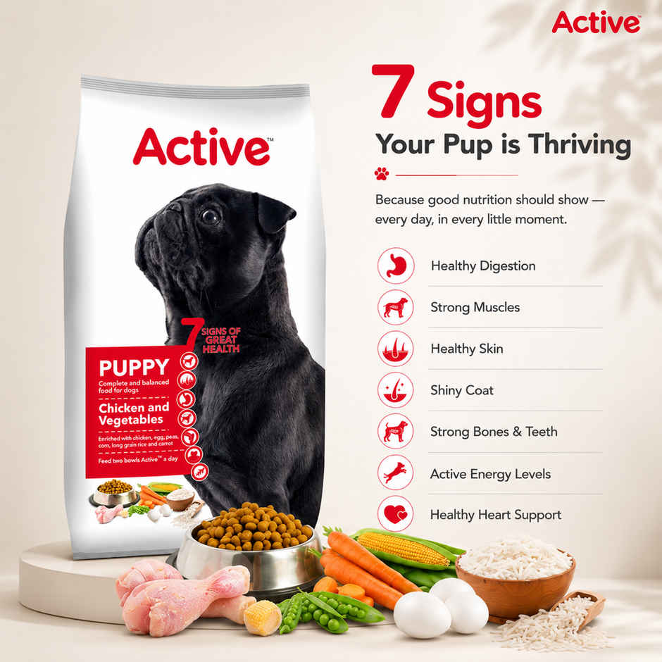 Active Puppy Chicken And Vegetables Dry Dog Food