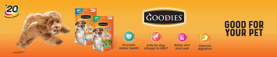 Goodies Dental Spiral