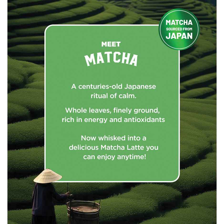 Sleepy Owl Classic Matcha Latte Can | Ready to Drink Authentic Japanese Matcha Tea
