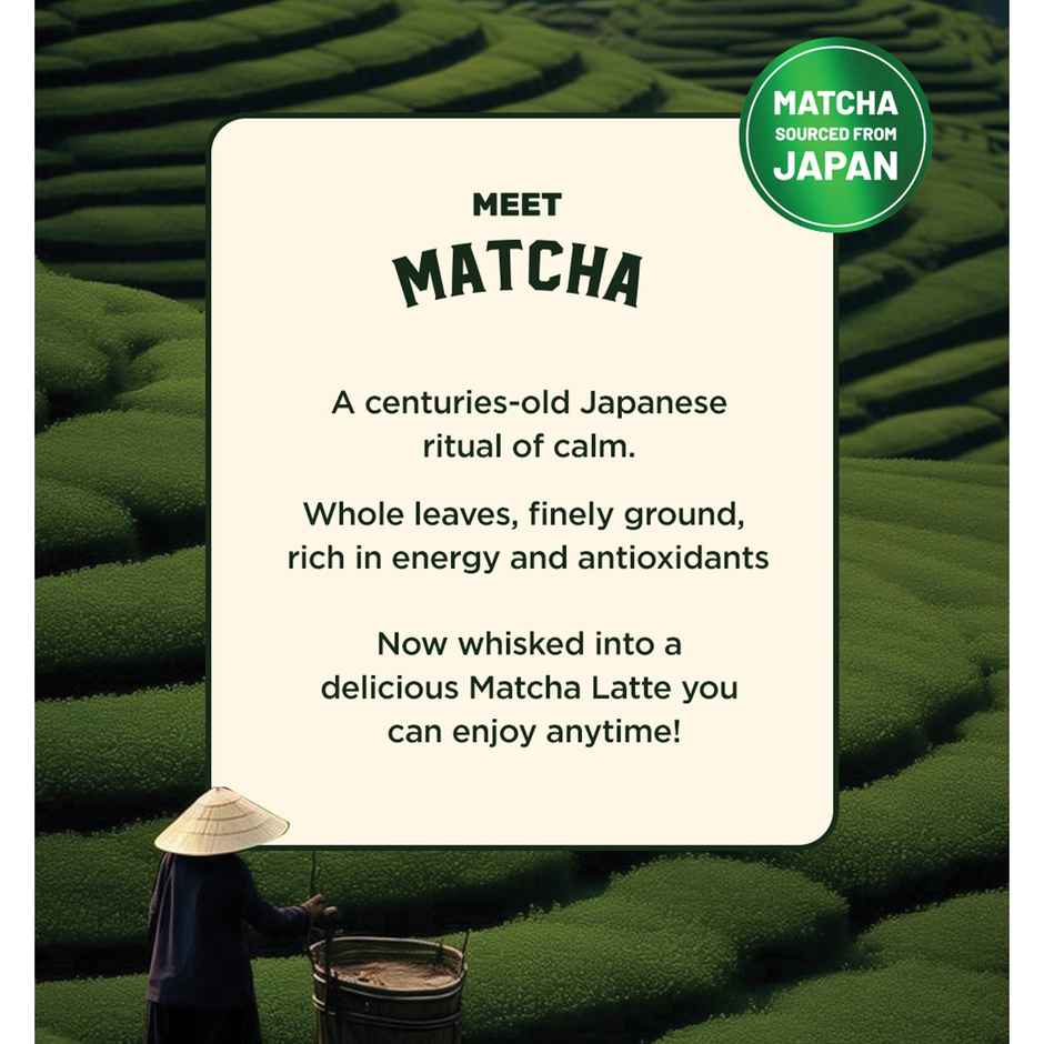 Sleepy Owl Vanilla Matcha Tea Premix Sachet Authentic Japanese Matcha Latte