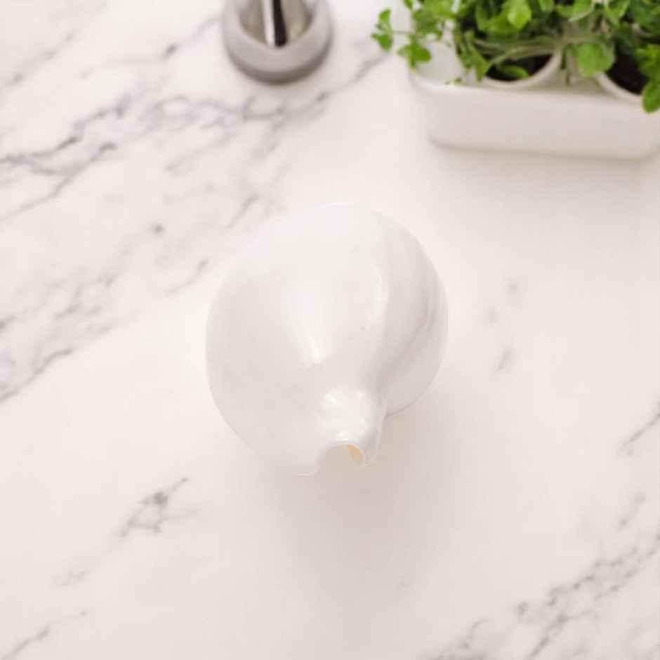 Budh Shankh | Attracts Prosperity & Success | No Carving | Pujashree