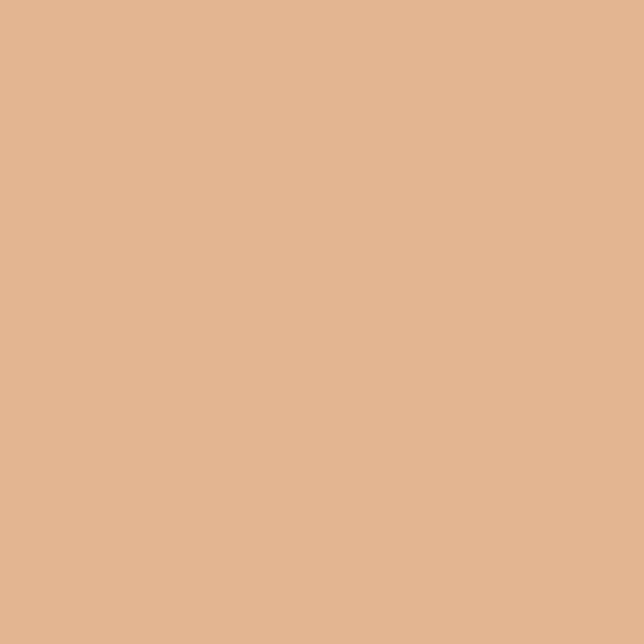 Insight Cosmetics Skin Tint 5In1 Multifunctional Serum Foundation | Chai & Chill