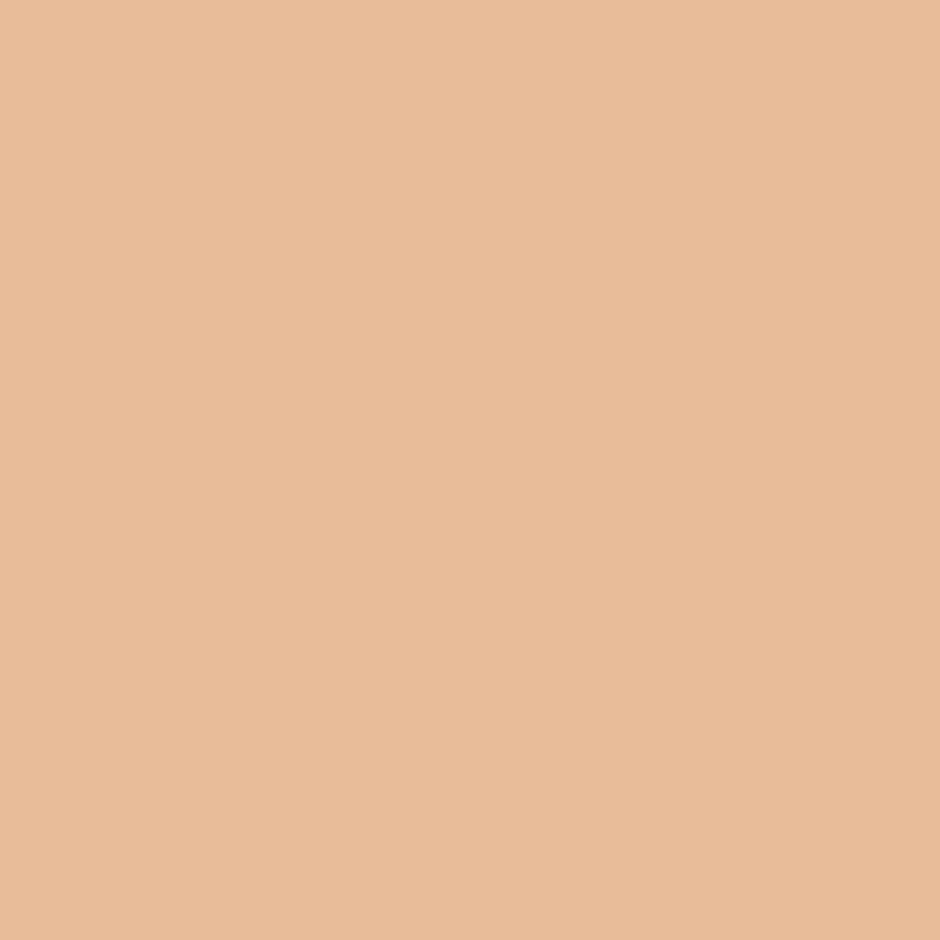 Insight Cosmetics Skin Tint 5In1 Multifunctional Serum Foundation | Vanilla Frappe