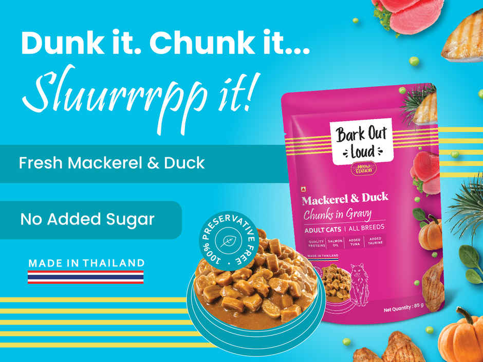 Bark Out Loud Cat Food Mackerel Duck Chunks Gravy Wet Adult All Breeds