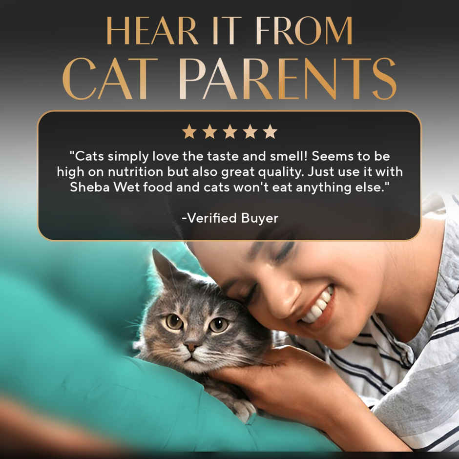 Sheba Kitten and Adult Chicken Flavour Dry Cat Food