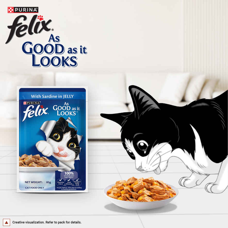 Felix Sardine Jelly Wet Cat Food Adult | Complete & Balanced