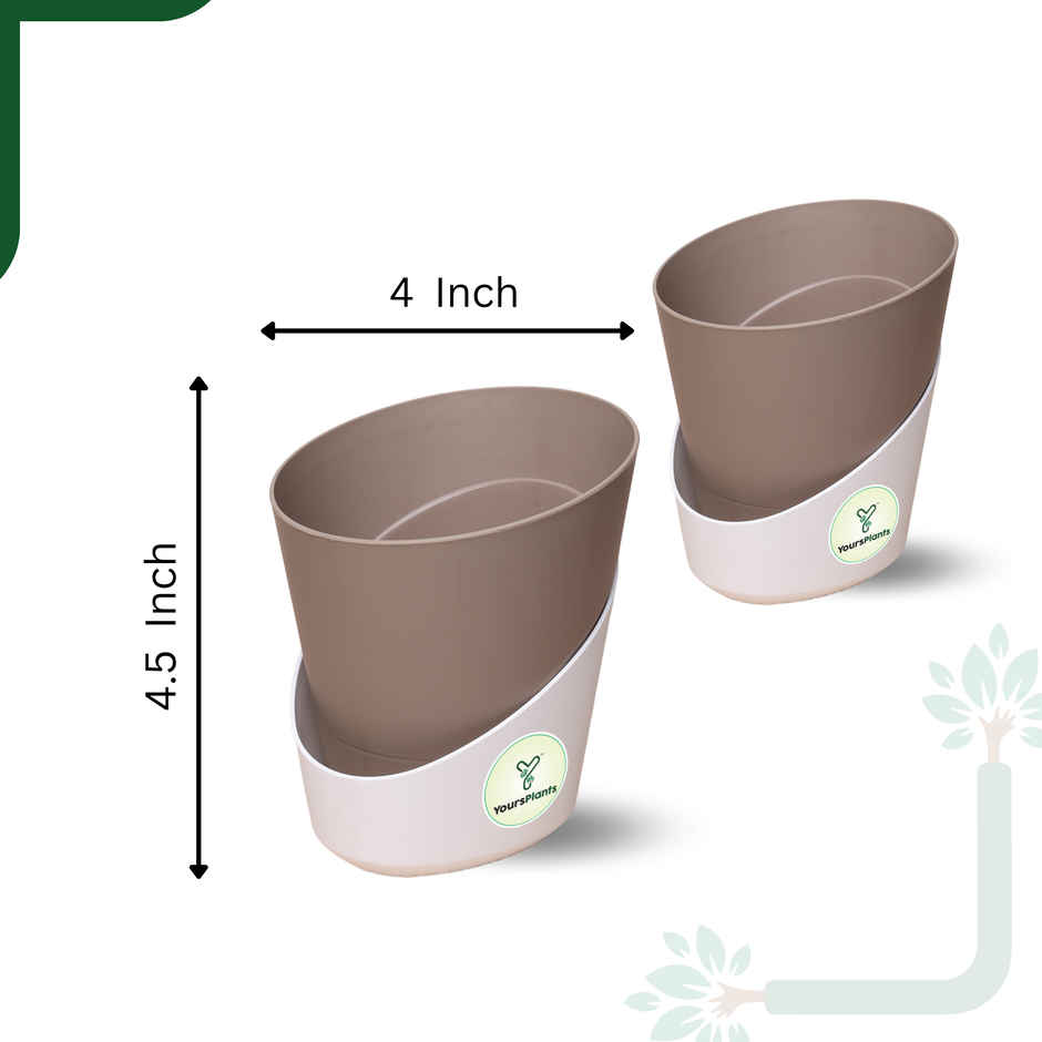 Yoursplants Atlantis - 4 Inch Mocca Pot | Pack Of 2