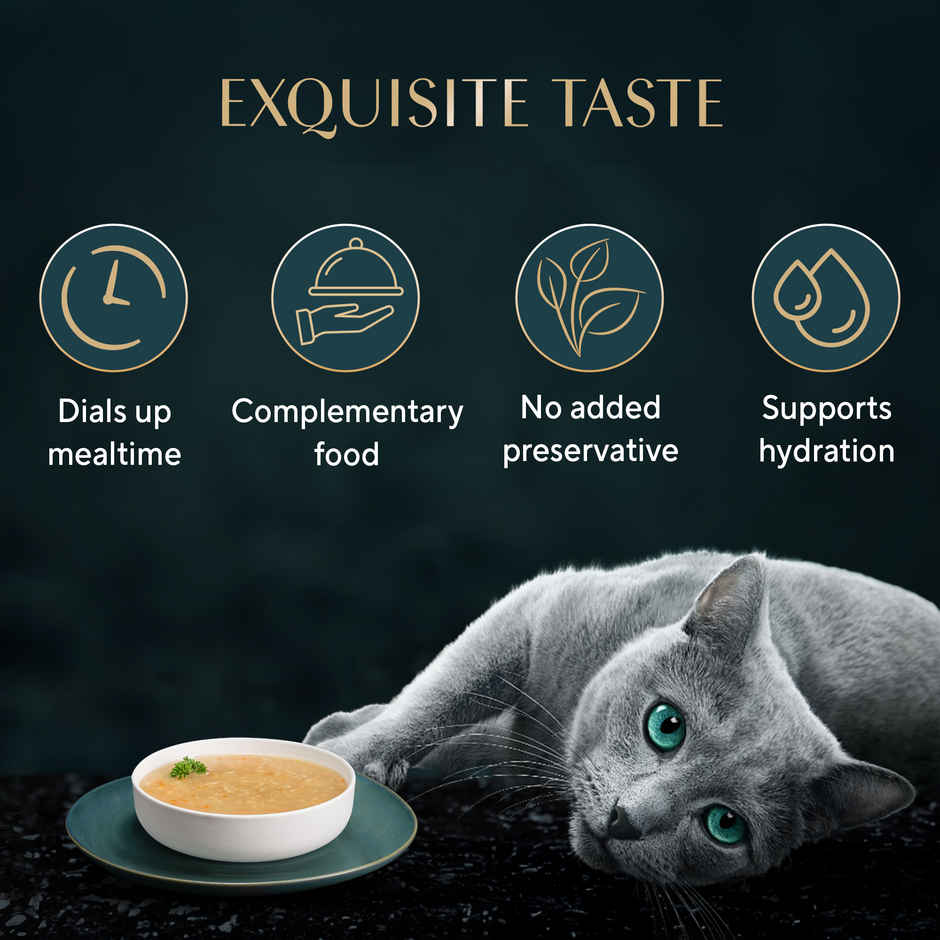 Sheba Soup With Chicken Premium Adult Wet Cat Food Pouches | Tender & Tasty Delight