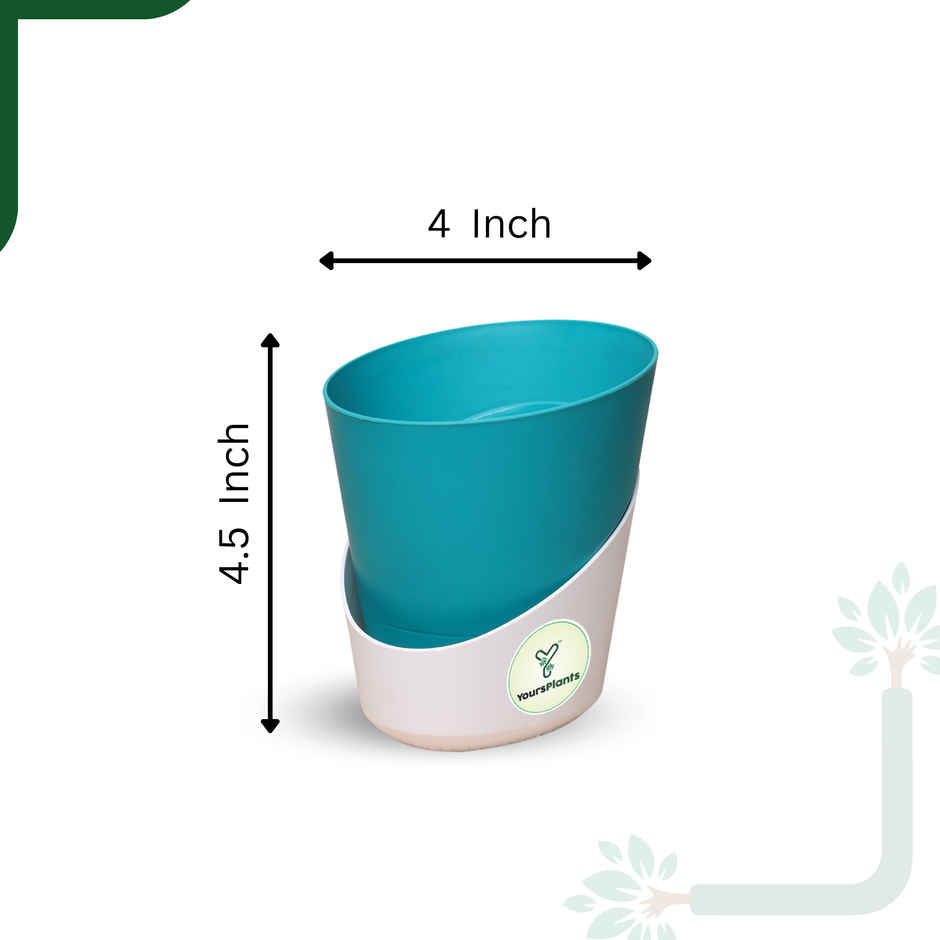 Yoursplants Atlantis - 4 Inch Teal Pot | Pack Of 1