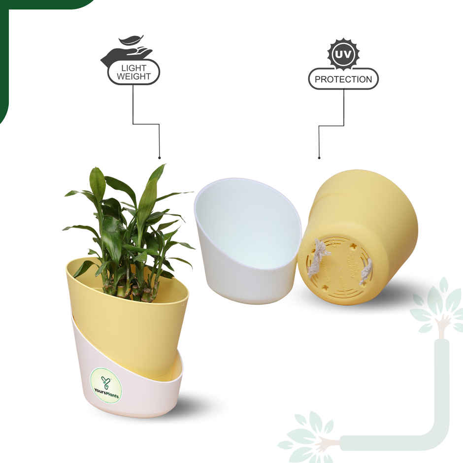 Yoursplants Atlantis - 4 Inch Pastel Yellow Pot | Pack Of 1