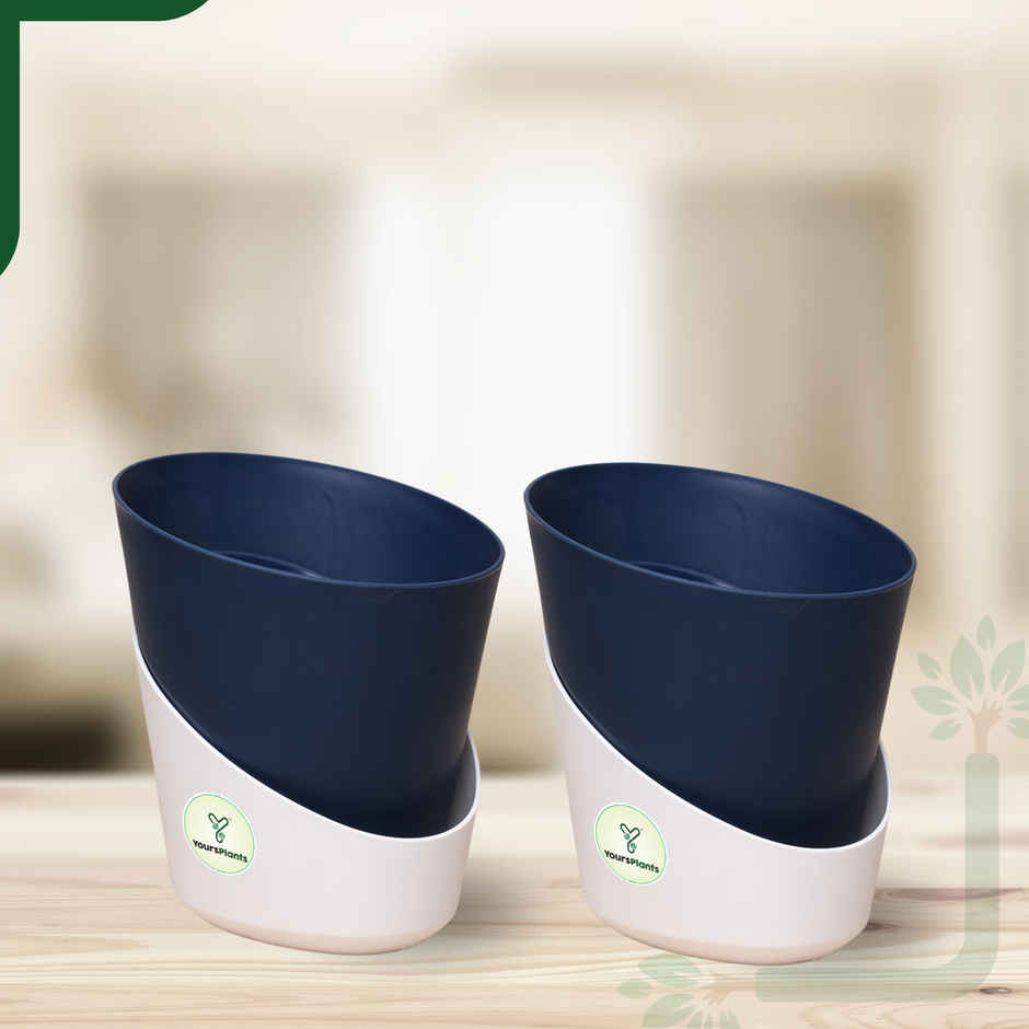 Yoursplants Atlantis - 4 Inch - Navy Blue Pot | Pack Of 2