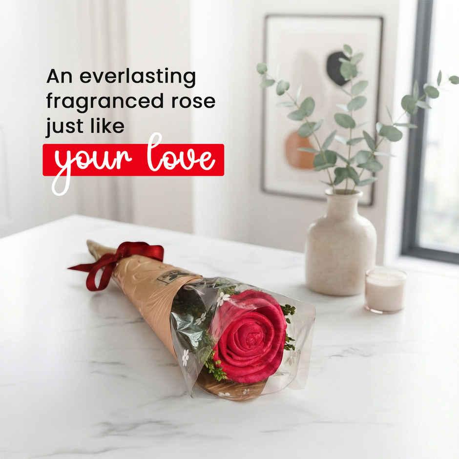 Everlasting Valentine's Scented Rose Flower | Romance Fragrance | IRIS