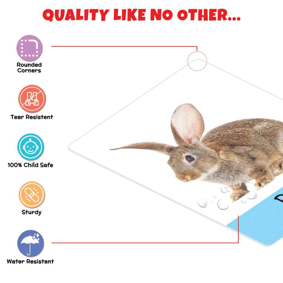 Little Berry Animals Flash Cards For Kids (32 Cards) | Fun Learning Toy For 2-6 Years - Lb5