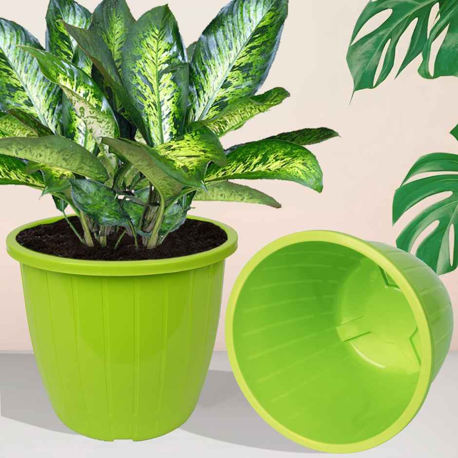 Kuber Industries Plastic Flower Pots | 8 Inch | Indoor & Outdoor | Green