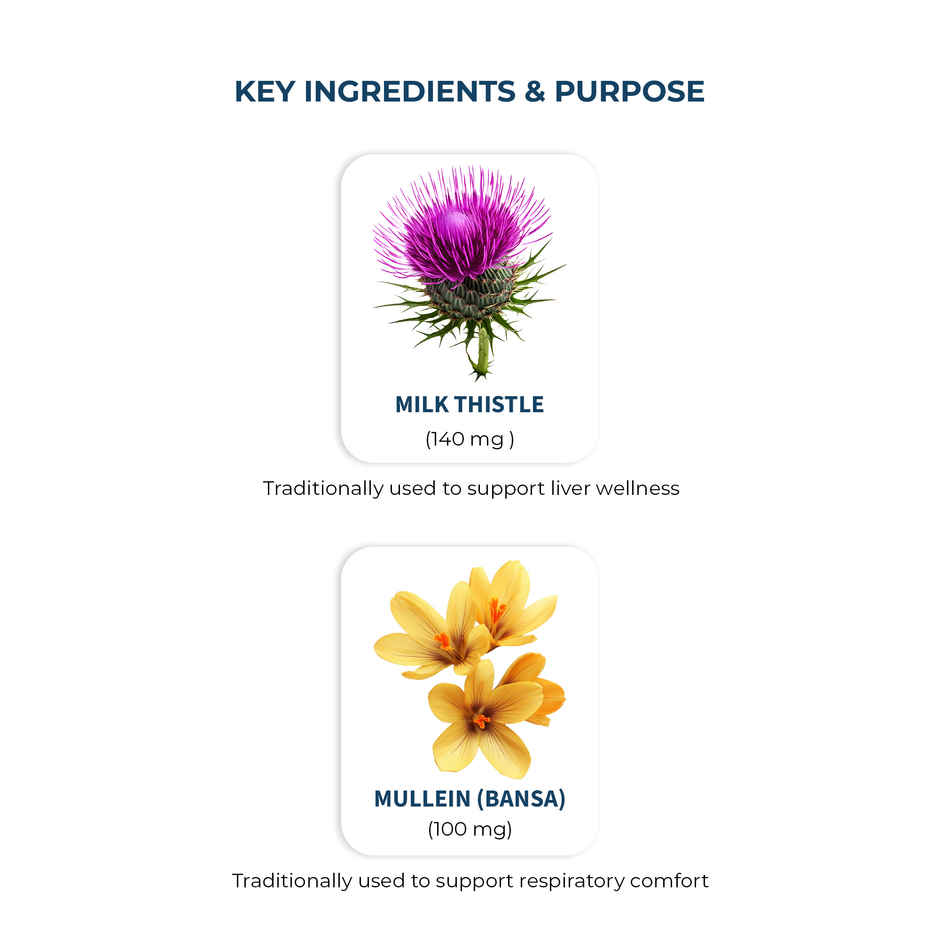 OYB Lung & Liver Dual Detox with Milk Thistle & Mullein | 30 Tablets | OYB Lung & Liver Dual Detox