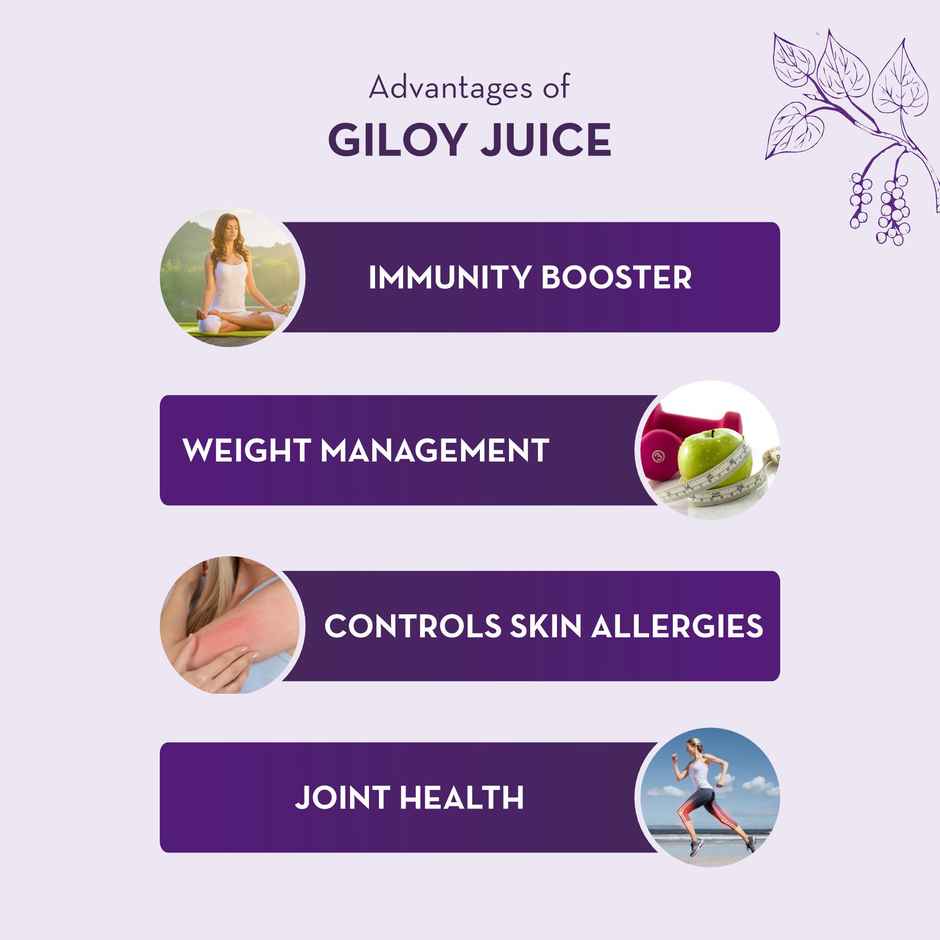 Baidyanath Giloy Juice