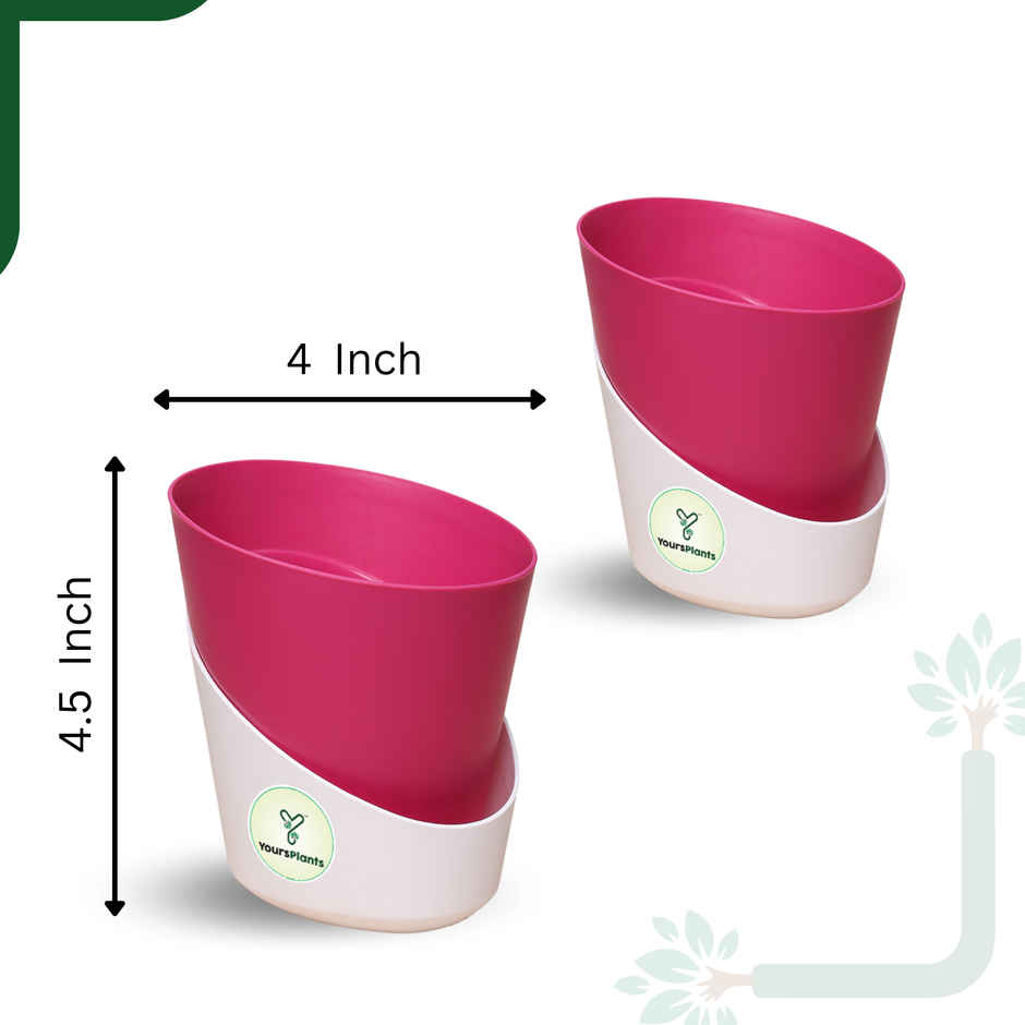 Yoursplants Atlantis - 4 Inch Pink Pot | Pack Of 2