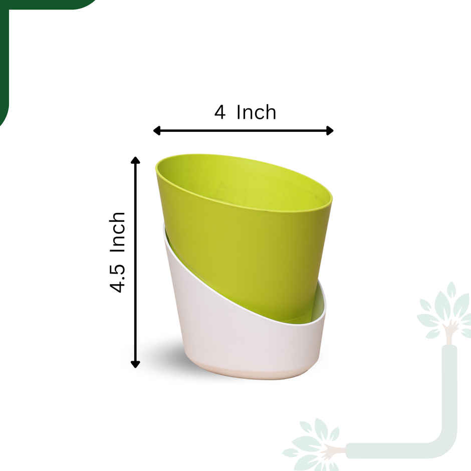 Yoursplants Atlantis - 4 Inch Yellow Pot | Pack Of 1