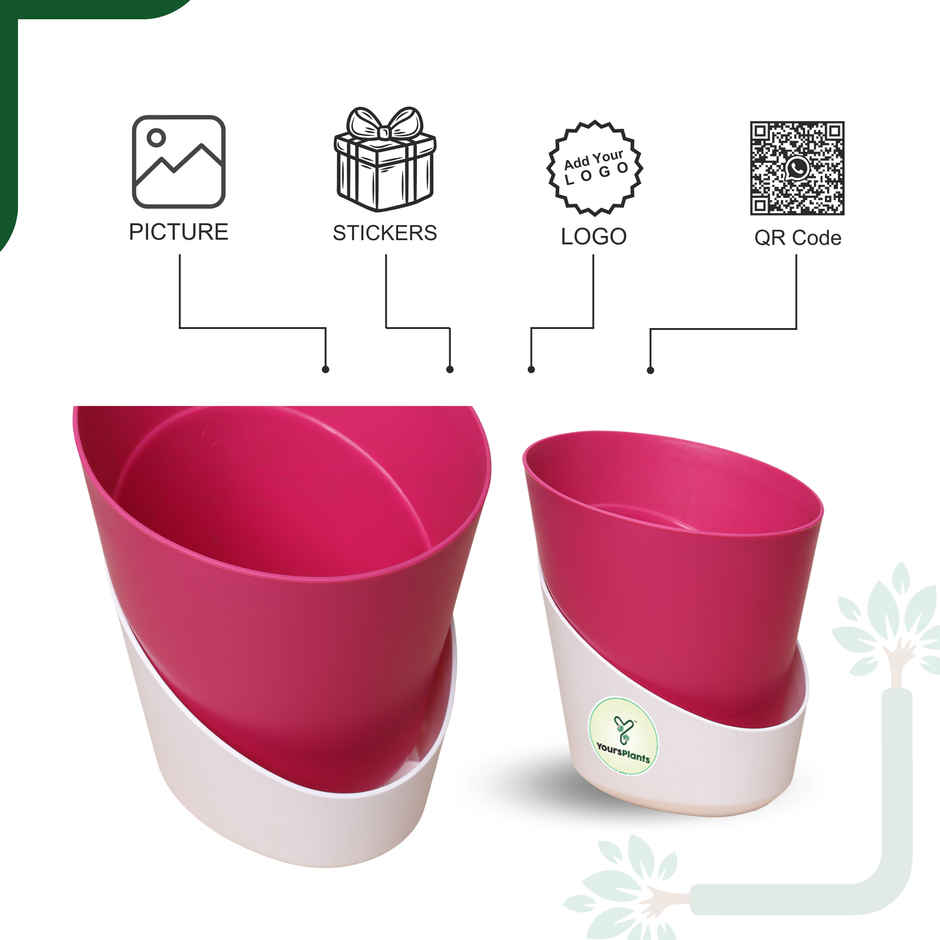 Yoursplants Atlantis - 4 Inch Pink Pot | Pack Of 2