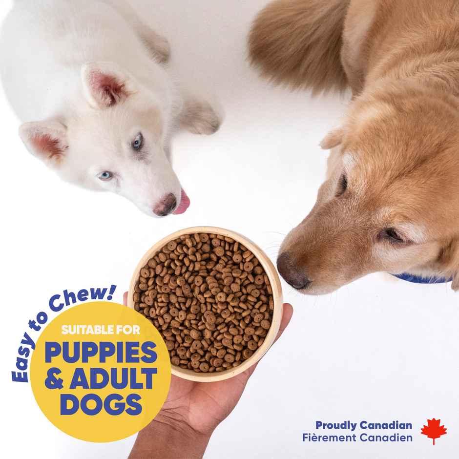 Purple Tails High Protein Dry Dog Food | Adult & Puppy