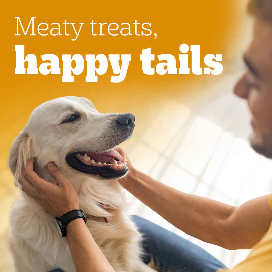 Pedigree Adult Tasty Jerky Grilled Liver Flavour Dog Treat Combo