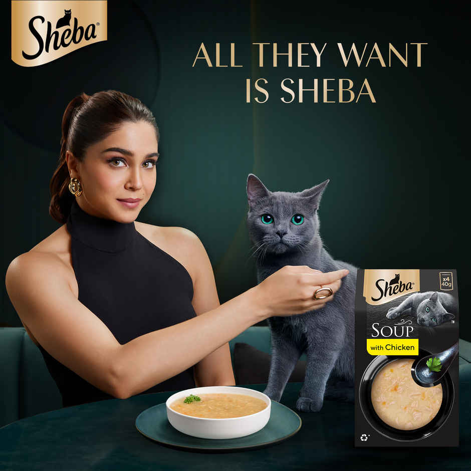 Sheba Soup With Chicken Premium Adult Wet Cat Food Pouches | Tender & Tasty Delight