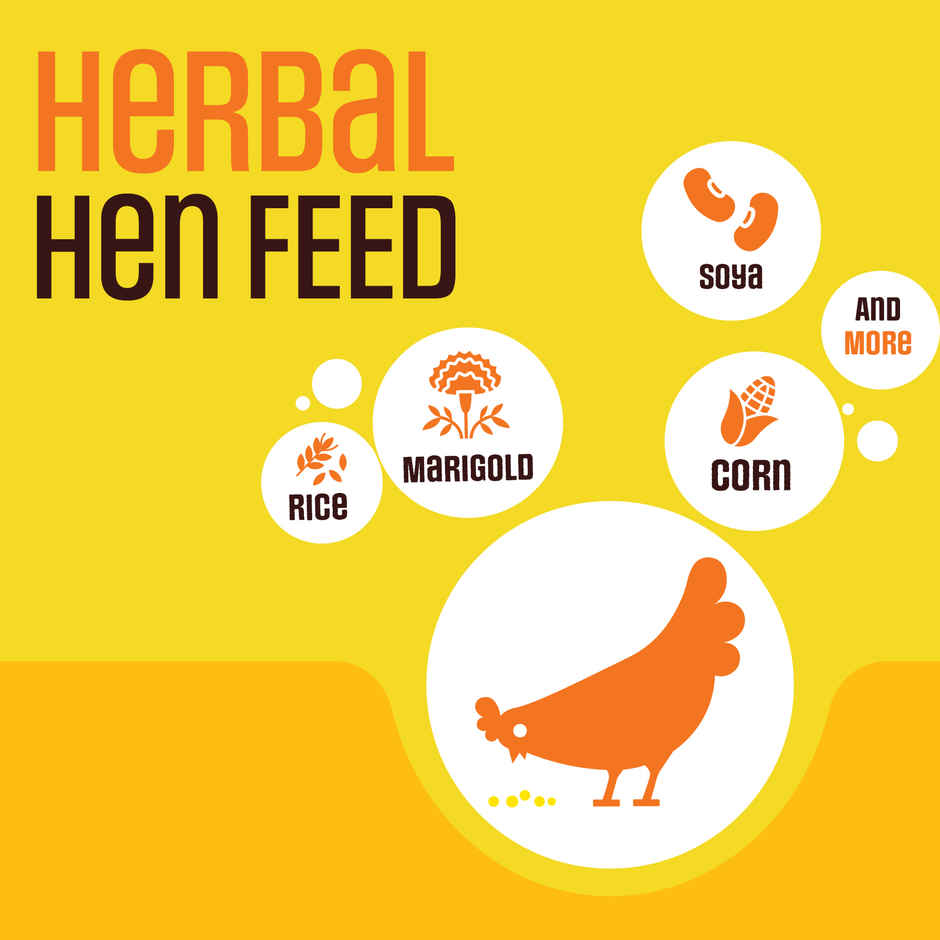 Eggoz Momoz- Bhurji(400gms) & Eggoz Nutrition White Egg 10.0 Pcs(10pc) Combo