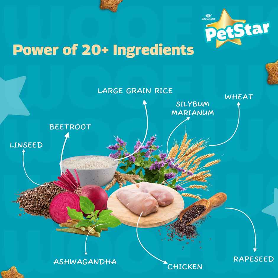 Petstar Adult Dry Dog FOOD | Chicken Flavour - Power Of 20+ Ingredients