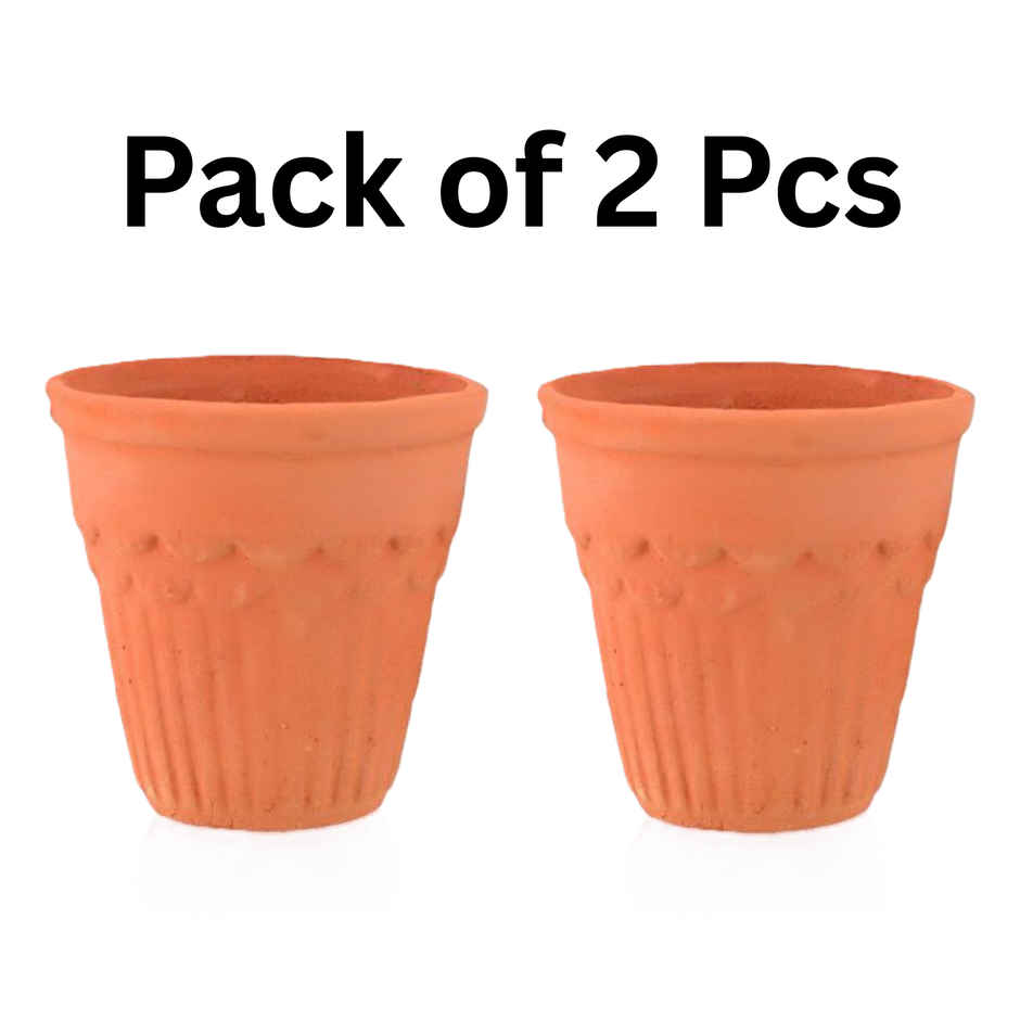 Thandai Kulhad | Mangal Bhawan | 250 ml