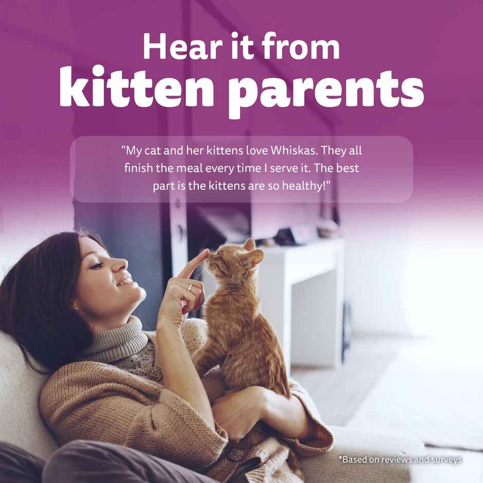 Whiskas Kitten Dry Cat Food, Mackerel Flavour | 2-12 months