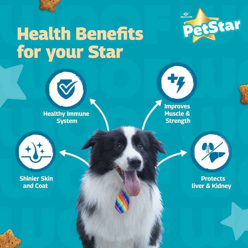 Petstar Adult Dry Dog FOOD | Chicken Flavour - Power Of 20+ Ingredients