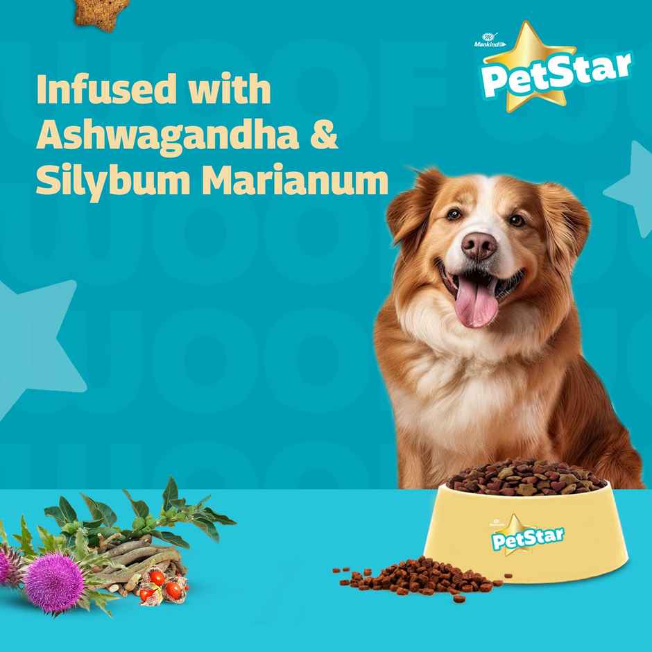 Petstar Adult Dry Dog FOOD | Chicken Flavour - Power Of 20+ Ingredients