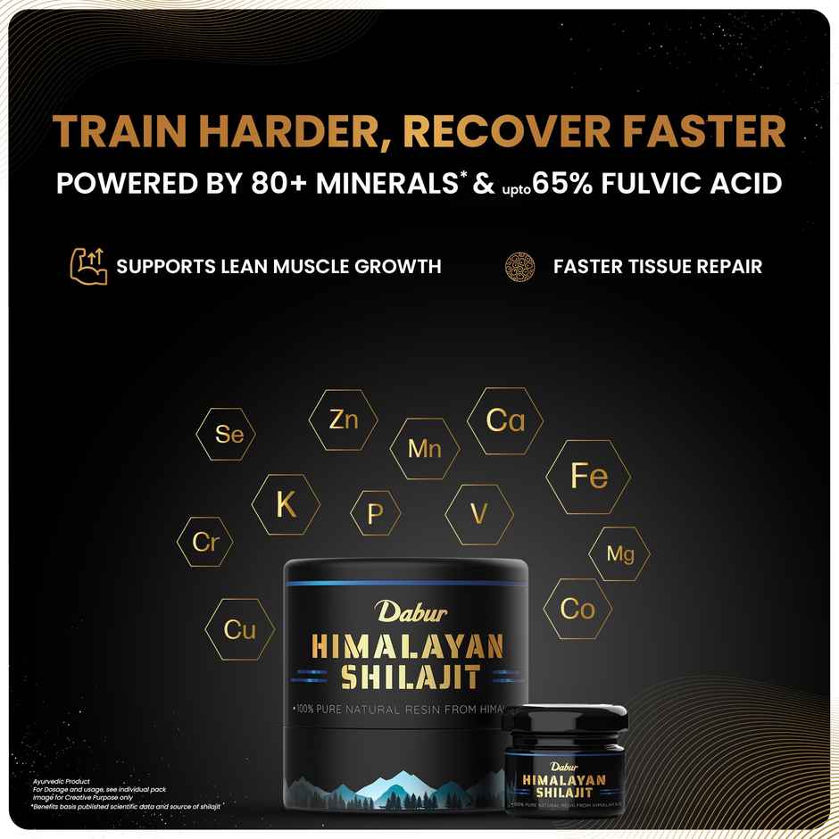 Dabur Himalayan Shilajit Resin | Natural Health Support