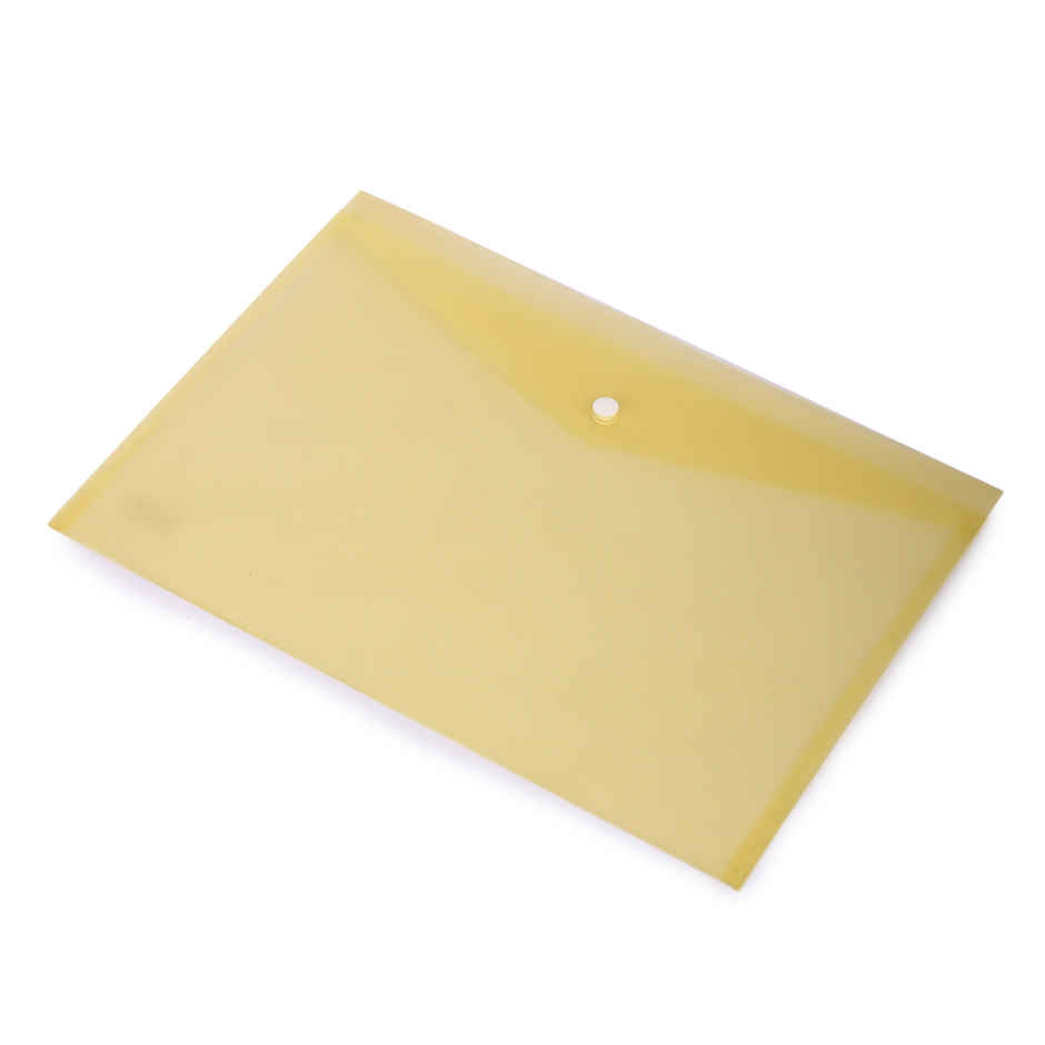 Saya Designer Clear Bag | Elegant and Durable Document Organizer with a Sleek Design | Assorted