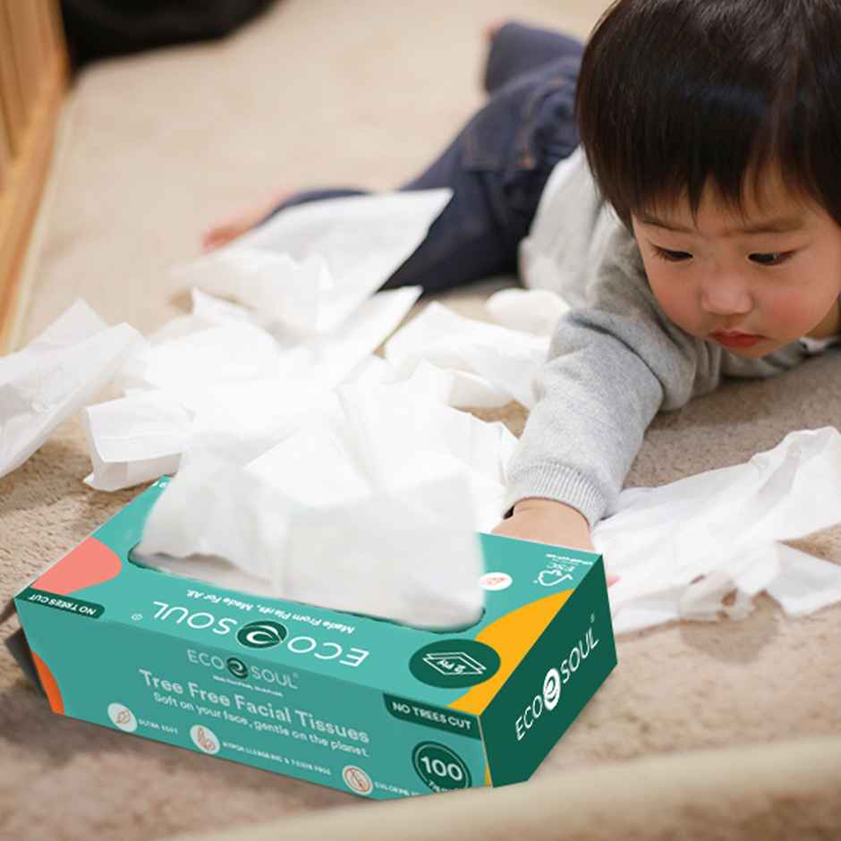 ECO SOUL 2 Ply | 100 Count Facial Tissue Box