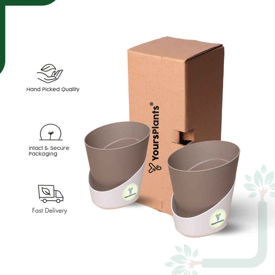 Yoursplants Atlantis - 4 Inch Mocca Pot | Pack Of 2