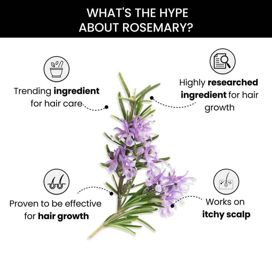 Thriveco Rosemary Essential Oil For Hair Growth & Hair Fall Control For Men & Women