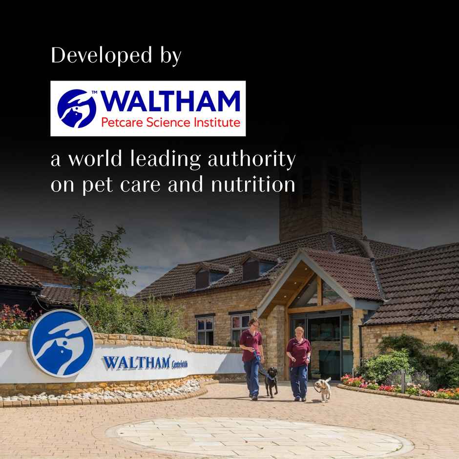 Sheba Fine Adult Chicken with Tuna in Gravy Wet Cat Food Combo 