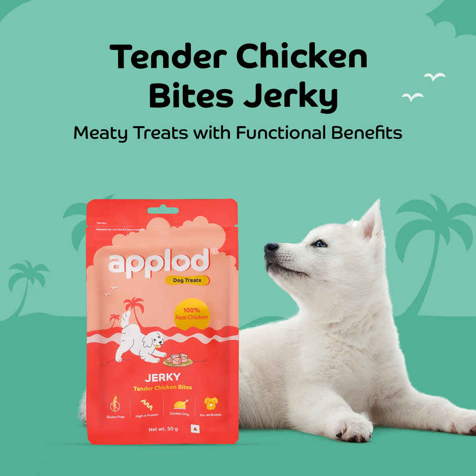 Applod Dehydrated Chicken Bites Dog Treat | Gluten Free Treats | For Puppy & Adult Dogs