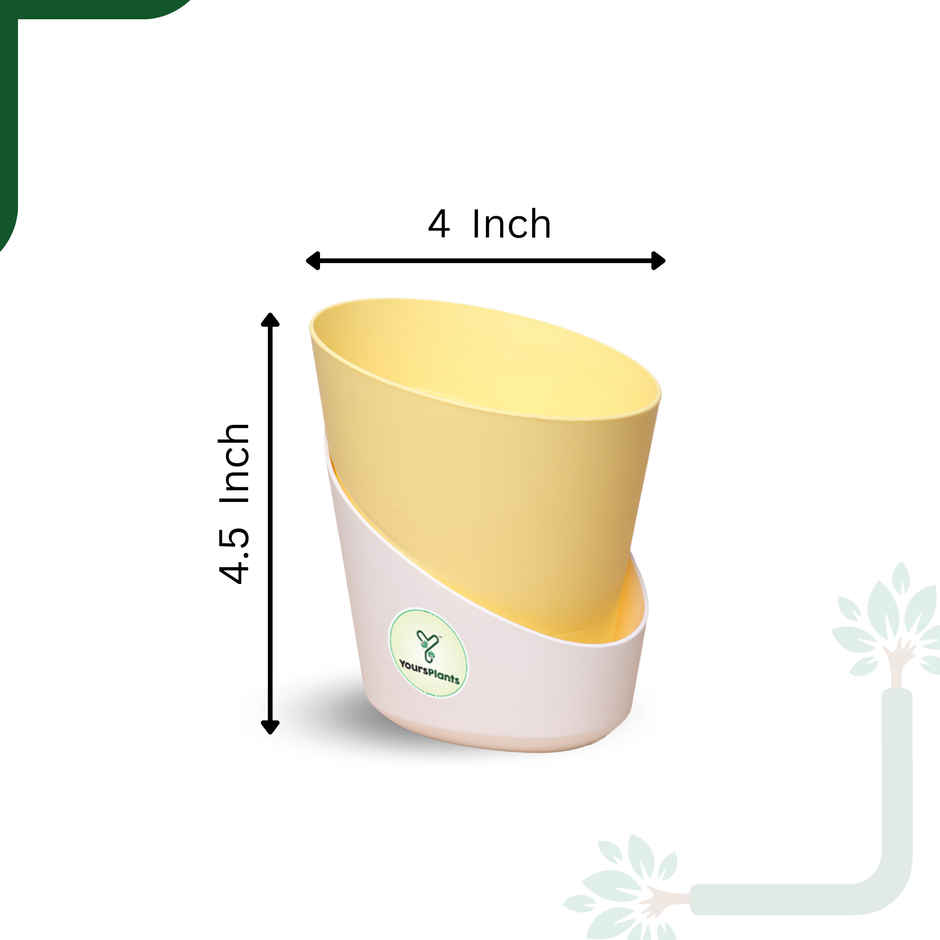 Yoursplants Atlantis - 4 Inch Pastel Yellow Pot | Pack Of 1