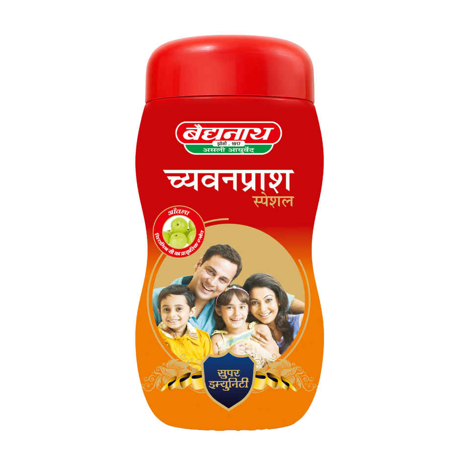 Baidyanath Chyawanprash Special 500g
