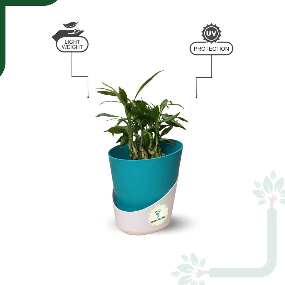 Yoursplants Atlantis - 4 Inch Teal Pot | Pack Of 1