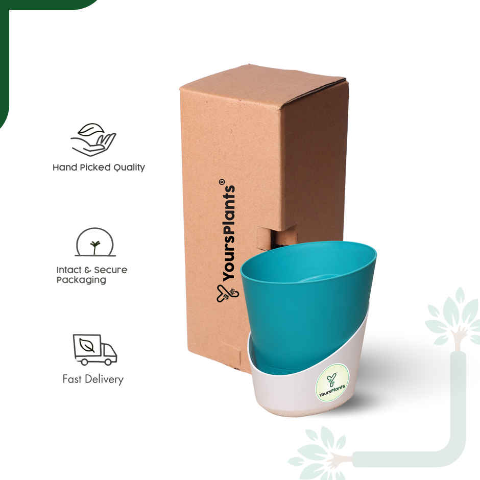 Yoursplants Atlantis - 4 Inch Teal Pot | Pack Of 1