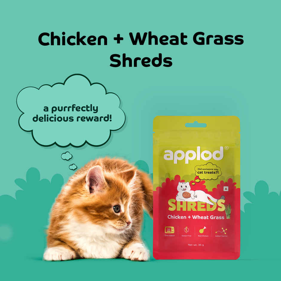 Applod Chicken & Wheat Grass Crunchy Cat Treat | For Kitten & Adult Cats