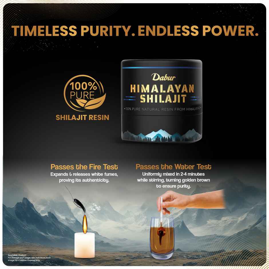 Dabur Himalayan Shilajit Resin | Natural Health Support