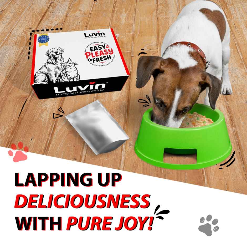 Luvin Wet FOOD - Chicken And VEGgies- Puppy And Adult Dog - All Breeds