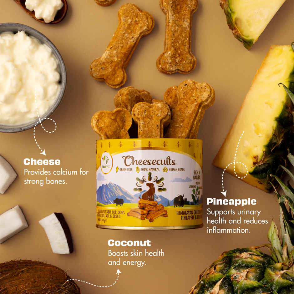 Pawfect Cheesecuits Cheese Biscuits with Pineapple, Coconut & Eggs Dog Training Treats